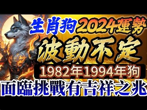 1982屬狗幸運數字|1982年属狗人永久吉利的数字及幸运特质